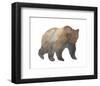 Wilderness I-Sandra Jacobs-Framed Art Print