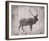 Wilderness III - Timber-Sandra Jacobs-Framed Giclee Print