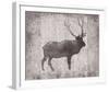 Wilderness III - Timber-Sandra Jacobs-Framed Giclee Print