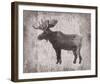 Wilderness IV - Timber-Sandra Jacobs-Framed Giclee Print