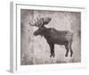 Wilderness IV - Timber-Sandra Jacobs-Framed Giclee Print
