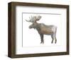 Wilderness IV-Sandra Jacobs-Framed Art Print