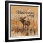 Wilderness Trail-Arnie Fisk-Framed Art Print