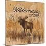 Wilderness Trail-Arnie Fisk-Mounted Art Print