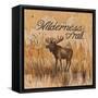 Wilderness Trail-Arnie Fisk-Framed Stretched Canvas