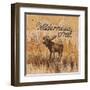 Wilderness Trail-Arnie Fisk-Framed Art Print