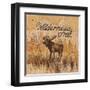 Wilderness Trail-Arnie Fisk-Framed Art Print