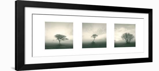 Wilderness Triptych-Michael Kahn-Framed Art Print