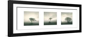 Wilderness Triptych-Michael Kahn-Framed Art Print