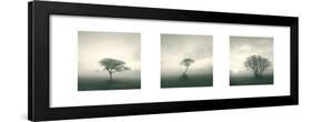 Wilderness Triptych-Michael Kahn-Framed Art Print