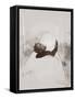 Wilderness-Gabriella Roberg-Framed Stretched Canvas