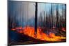 Wildfire. Wildfire in British Columbia. Canada. Forest Fire. Forest Fire in Progress. Fire. Large F-Fernando Astasio Avila-Mounted Photographic Print