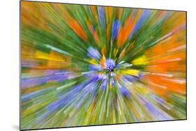 Wildflower abstract, Tehachapi Mountains, Angeles National Forest, California, USA-Russ Bishop-Mounted Photographic Print