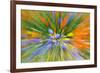 Wildflower abstract, Tehachapi Mountains, Angeles National Forest, California, USA-Russ Bishop-Framed Premium Photographic Print