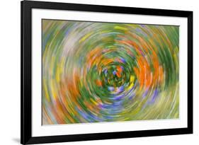 Wildflower abstract, Tehachapi Mountains, Angeles National Forest, California, USA-Russ Bishop-Framed Photographic Print