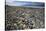 Wildflower Bloom, Death Valley, California-George Oze-Stretched Canvas