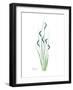 Wildflower Bluegreen-Albert Koetsier-Framed Premium Giclee Print