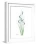 Wildflower Bluegreen-Albert Koetsier-Framed Premium Giclee Print