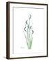 Wildflower Bluegreen-Albert Koetsier-Framed Premium Giclee Print