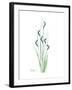 Wildflower Bluegreen-Albert Koetsier-Framed Premium Giclee Print