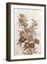 Wildflower Branch I-Tim O'toole-Framed Art Print