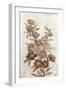 Wildflower Branch I-Tim O'toole-Framed Art Print