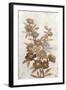 Wildflower Branch I-Tim O'toole-Framed Art Print