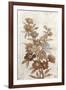 Wildflower Branch I-Tim O'toole-Framed Art Print