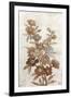 Wildflower Branch I-Tim O'toole-Framed Art Print