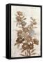 Wildflower Branch I-Tim O'toole-Framed Stretched Canvas