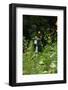 Wildflower butterfly garden, Whitewater Memorial State Park, Indiana, USA.-Anna Miller-Framed Photographic Print