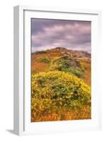 Wildflower Coast-Vincent James-Framed Photographic Print