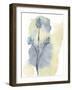 Wildflower Ensemble-Tania Bello-Framed Giclee Print