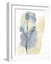 Wildflower Ensemble-Tania Bello-Framed Giclee Print