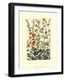 Wildflower Field I-null-Framed Art Print