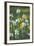 Wildflower Field-Anna Miller-Framed Photographic Print