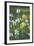 Wildflower Field-Anna Miller-Framed Photographic Print