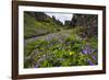 Wildflower Filled Canyon-George Oze-Framed Photographic Print