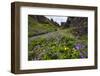 Wildflower Filled Canyon-George Oze-Framed Photographic Print