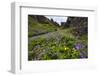 Wildflower Filled Canyon-George Oze-Framed Photographic Print