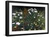 Wildflower Garden-Kevin Dodds-Framed Giclee Print