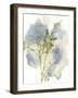 Wildflower Harmony-Tania Bello-Framed Giclee Print