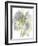 Wildflower Harmony-Tania Bello-Framed Giclee Print