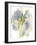 Wildflower Harmony-Tania Bello-Framed Giclee Print