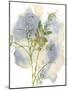 Wildflower Harmony-Tania Bello-Mounted Giclee Print