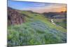 Wildflower Hillside at Sunset, Table Mountain-Vincent James-Mounted Photographic Print