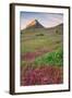 Wildflower Hillside, Early Spring-Vincent James-Framed Photographic Print