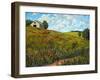 Wildflower Hillside in Boulder County, CO-Patty Baker-Framed Art Print