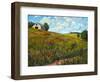 Wildflower Hillside in Boulder County, CO-Patty Baker-Framed Art Print