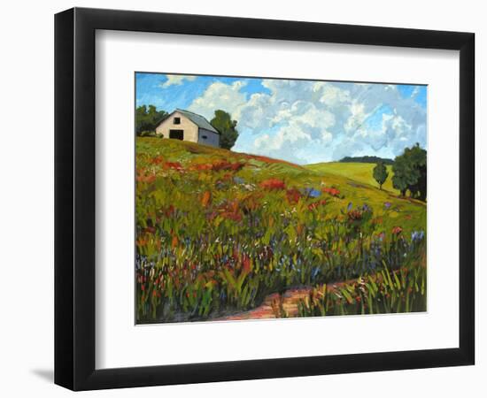 Wildflower Hillside in Boulder County, CO-Patty Baker-Framed Art Print